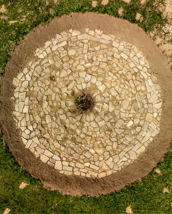 Figová jama